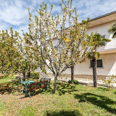 Apartments Villa Pavle روفينج المظهر الخارجي الصورة