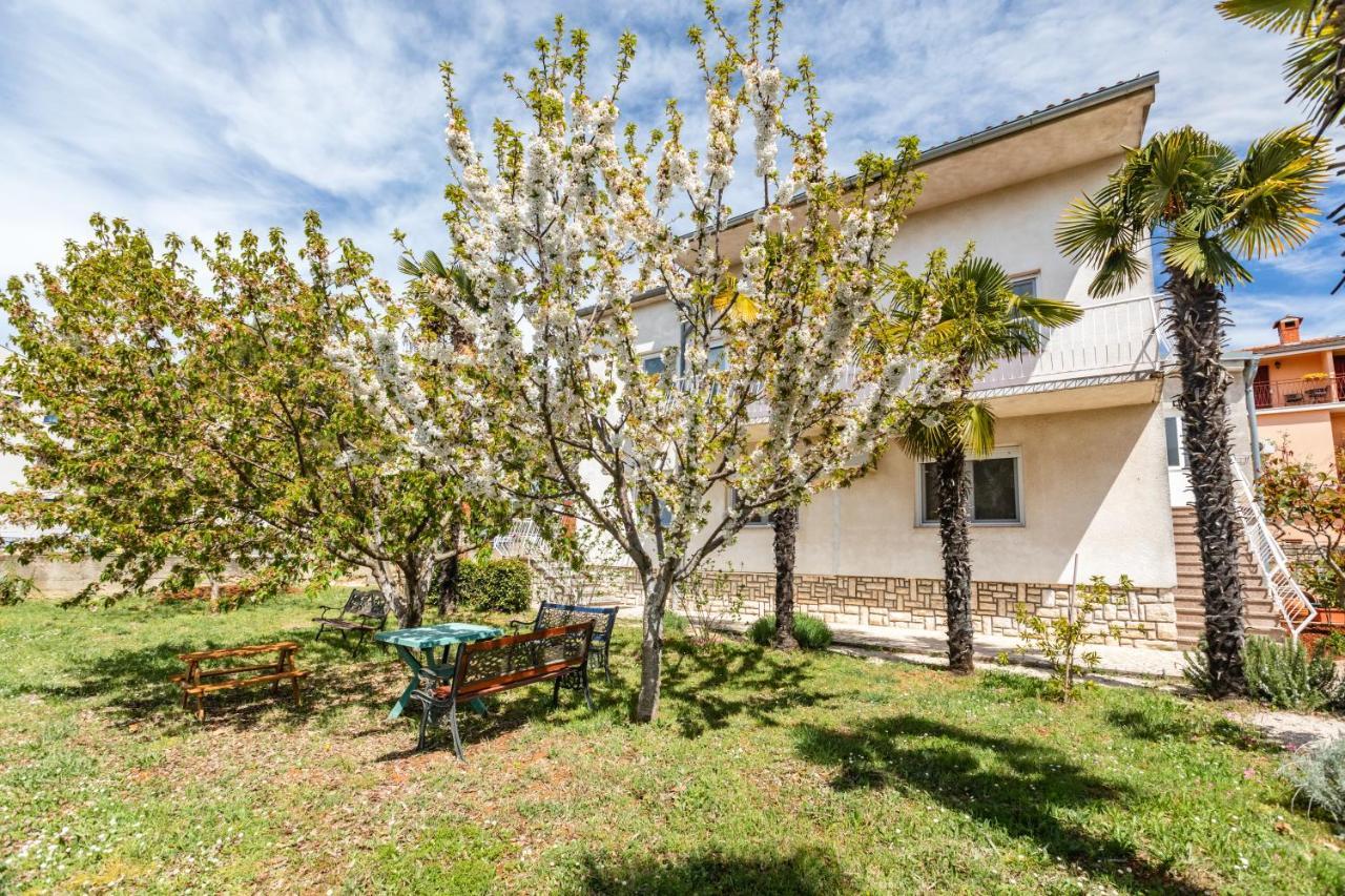 Apartments Villa Pavle روفينج المظهر الخارجي الصورة